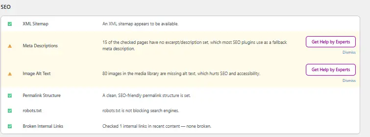 WP Site Optimizer SEO checkup dashboard showing on-page SEO audit results