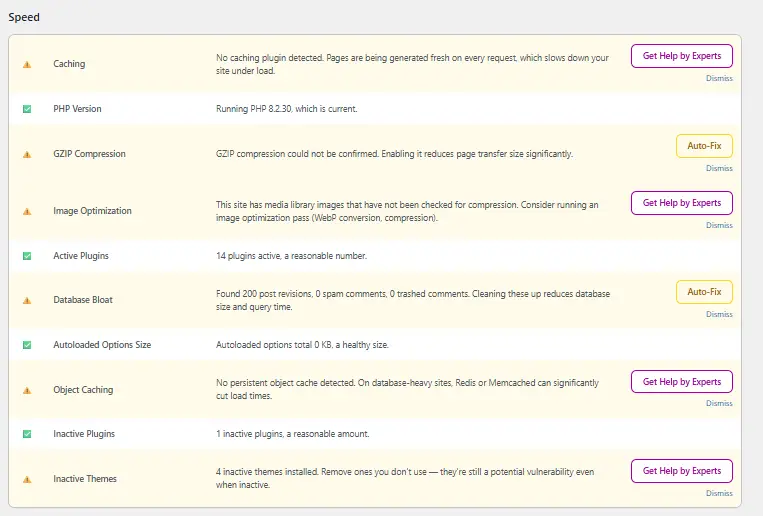 WP Site Optimizer speed checkup dashboard showing WordPress performance audit results